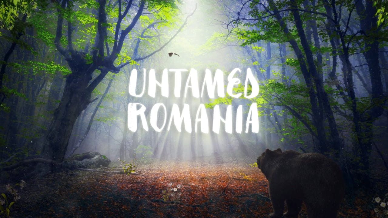 Cubierta de Untamed Romania