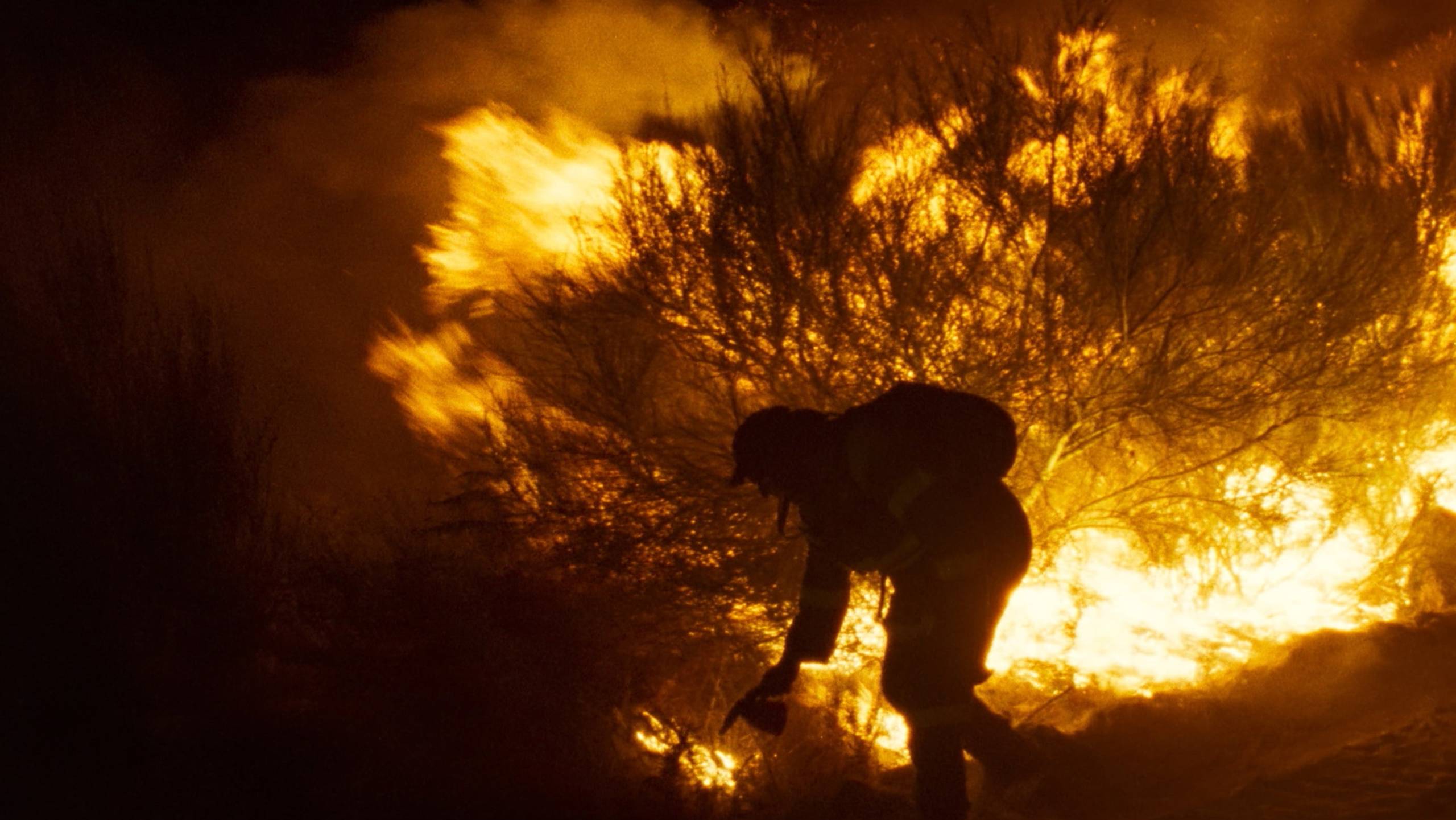 Cubierta de Lo que arde