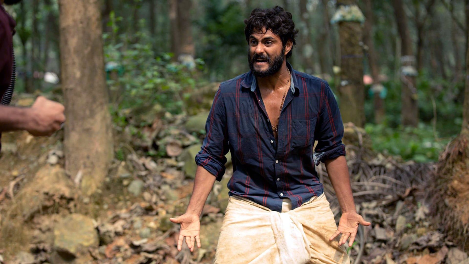 Cubierta de Angamaly Diaries