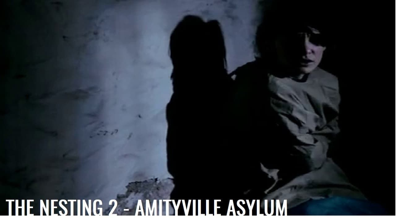 Cubierta de The Amityville Asylum