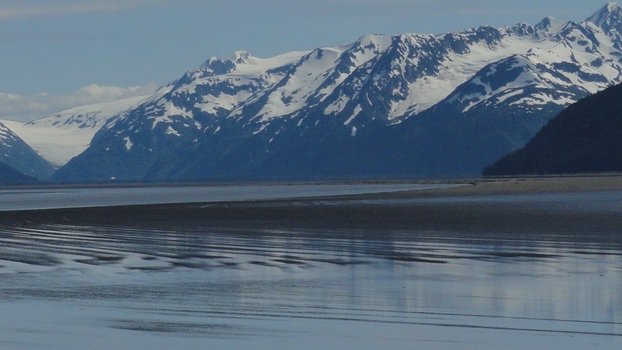 Cubierta de Wild Alaska