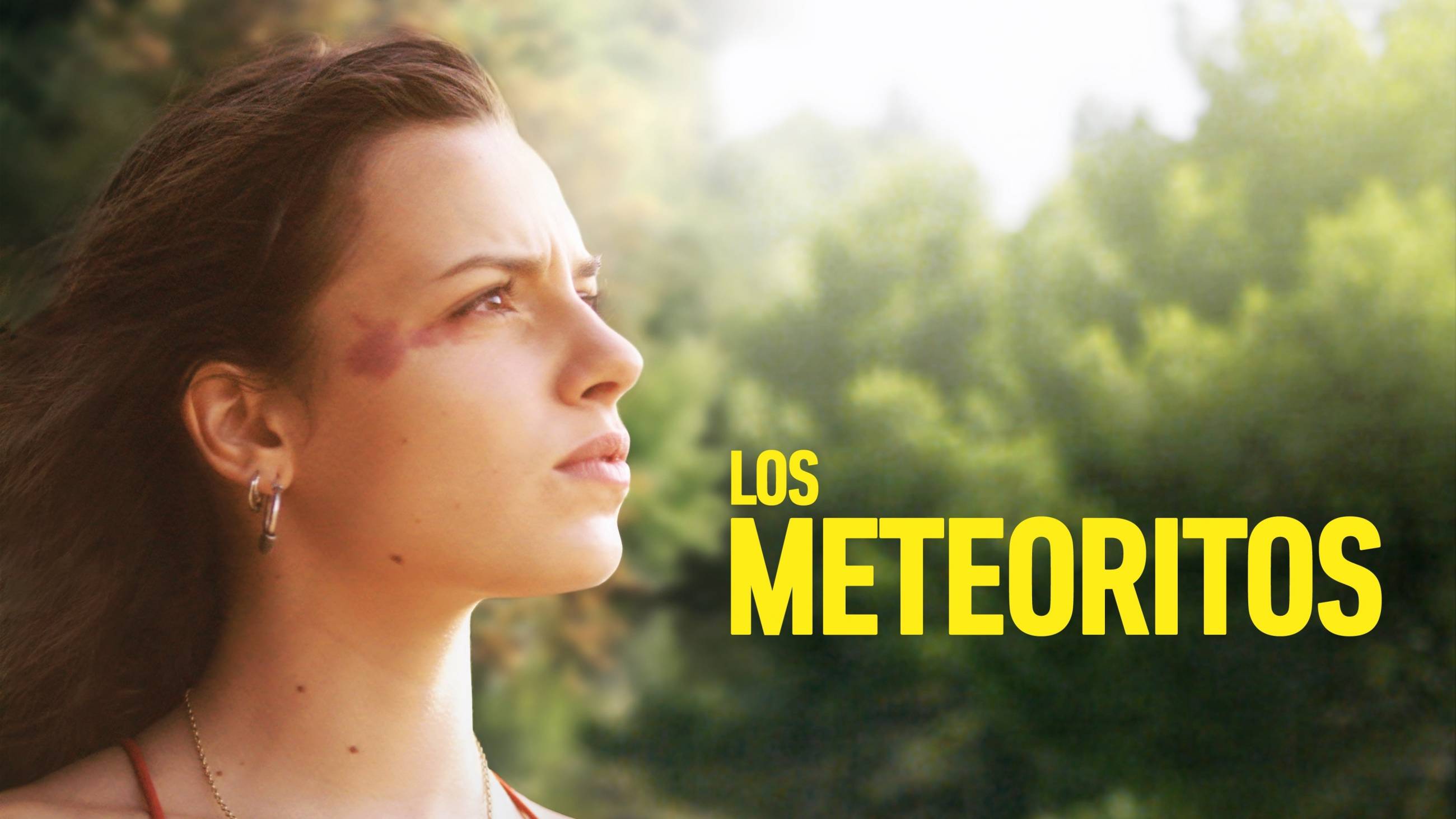 Cubierta de Los meteoritos