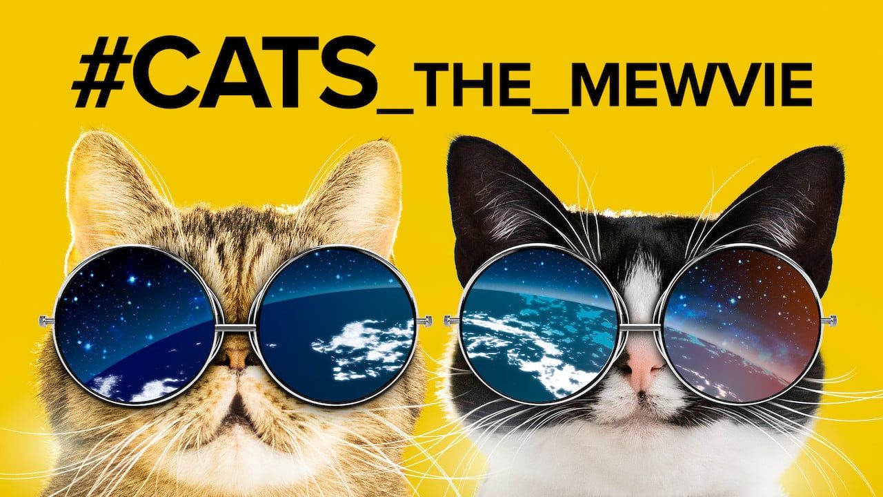 Cubierta de #cats_The_Mewvie