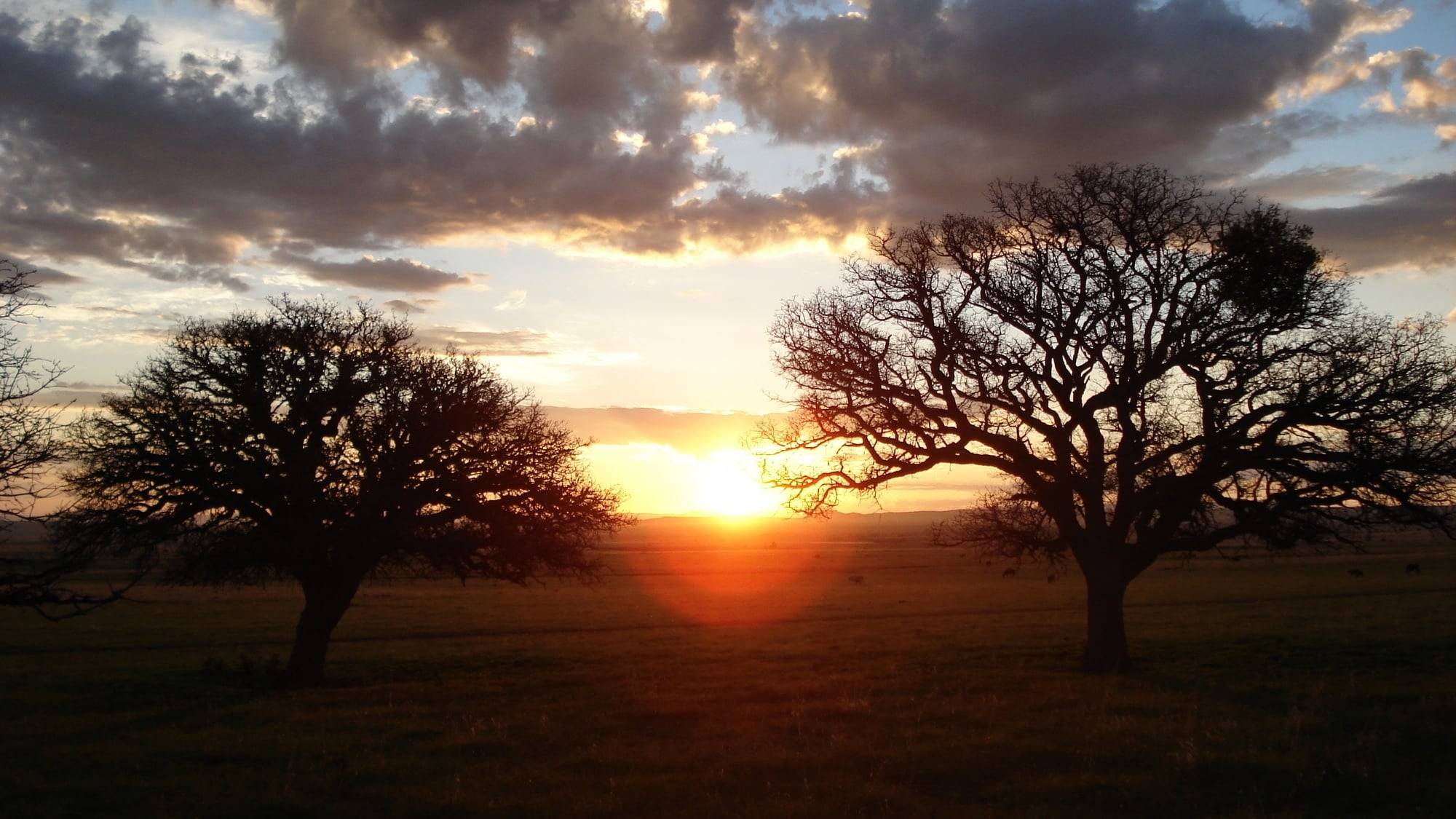 Cubierta de Silent Light