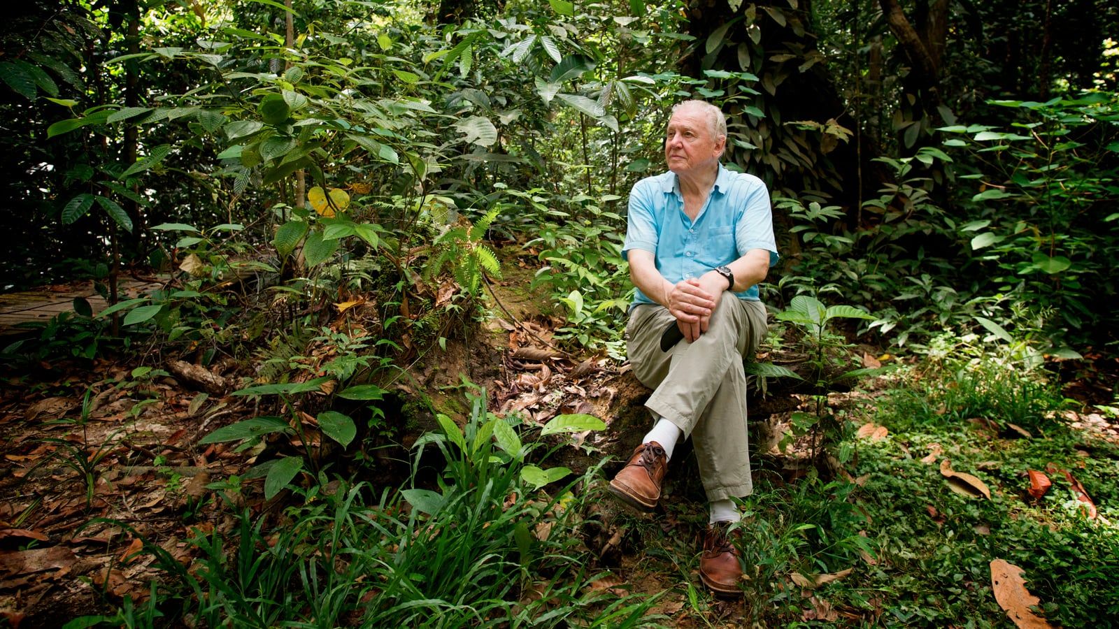Cubierta de Attenborough: 60 Years in the Wild