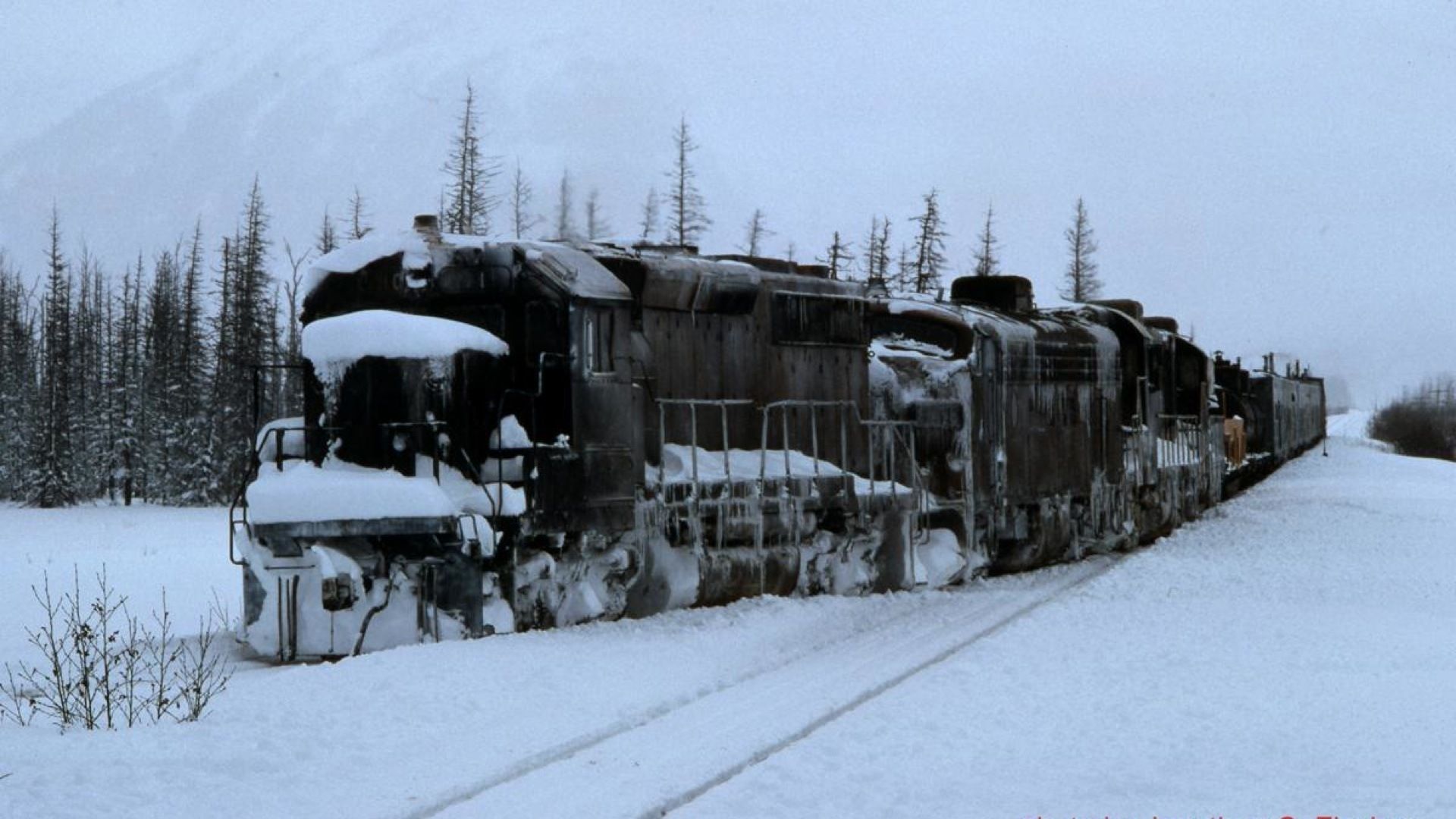 Cubierta de El tren del infierno