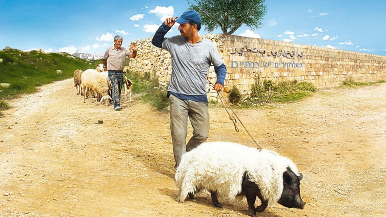 Cubierta de Un cerdo en Gaza