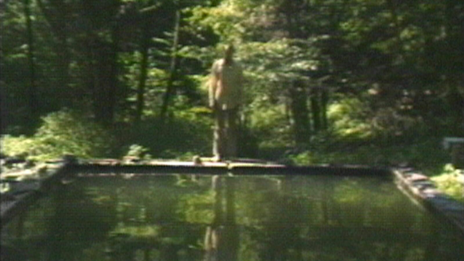 Cubierta de The Reflecting Pool