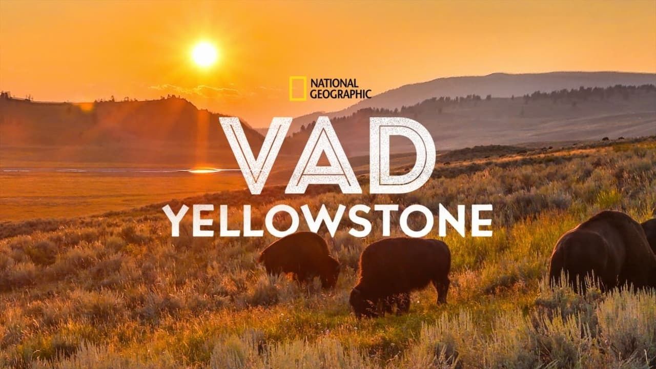 Cubierta de Wild Yellowstone