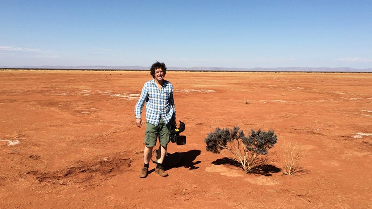 Cubierta de Night Parrot Stories