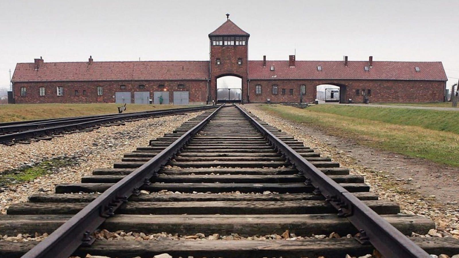 Cubierta de El juicio de Auschwitz