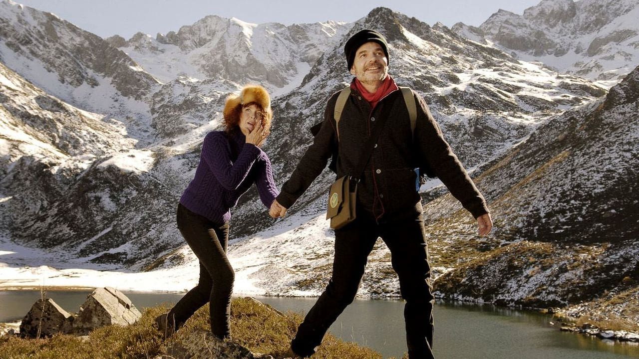 Cubierta de Le voyage aux Pyrénées