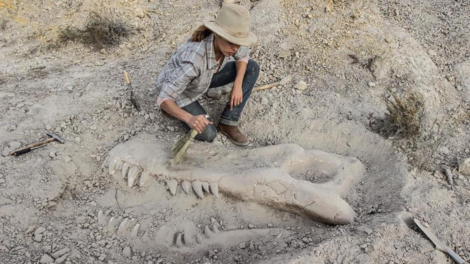 Cubierta de Valley of Bones