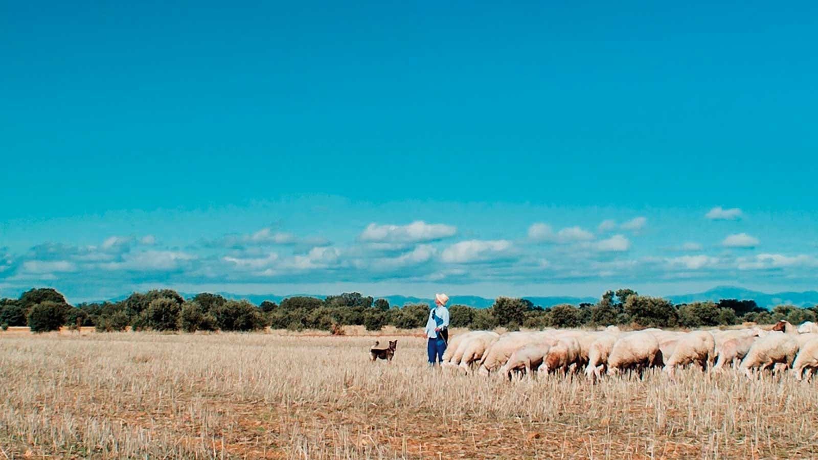 Cubierta de Meseta