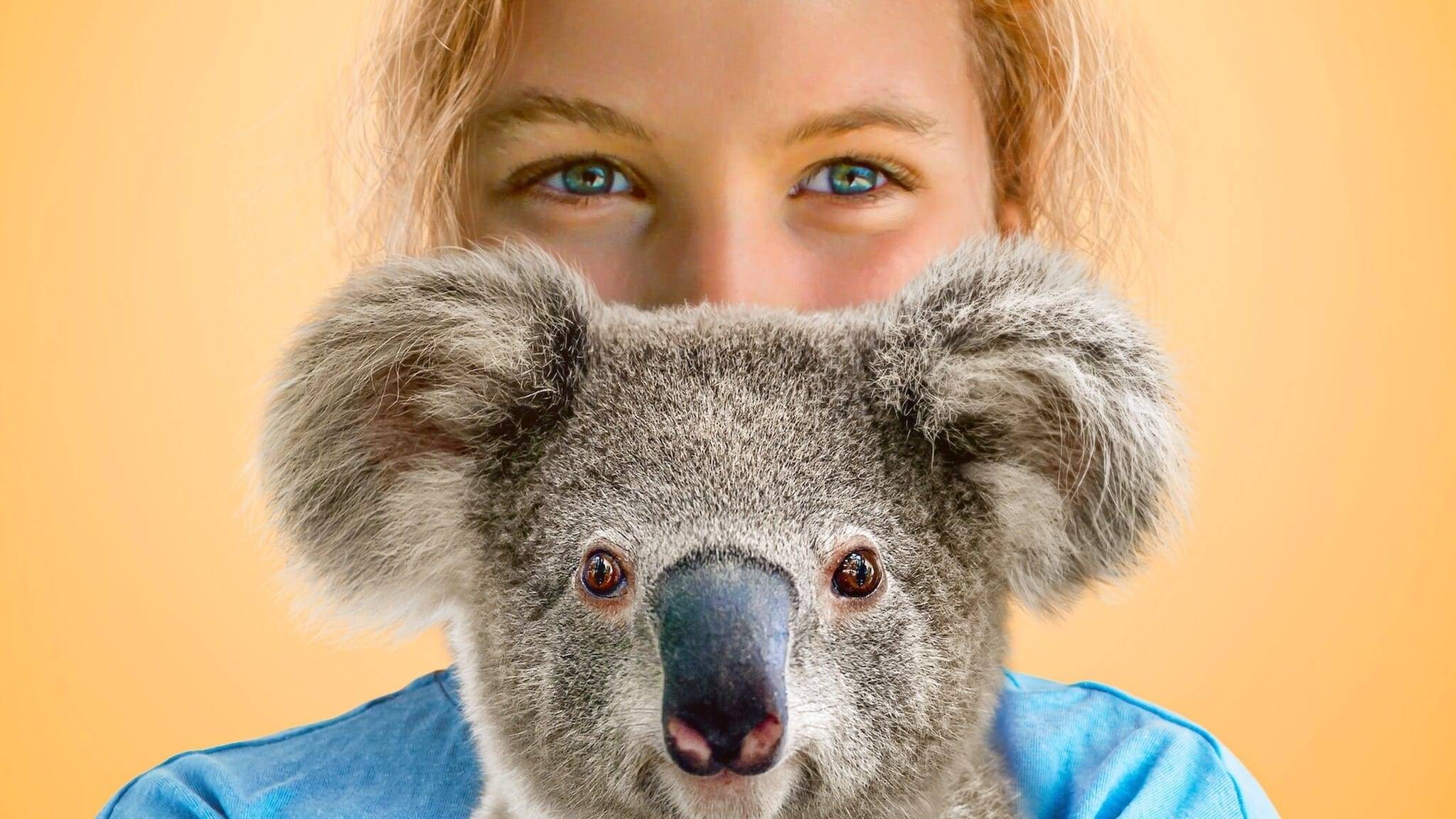 Cubierta de Izzy y los koalas