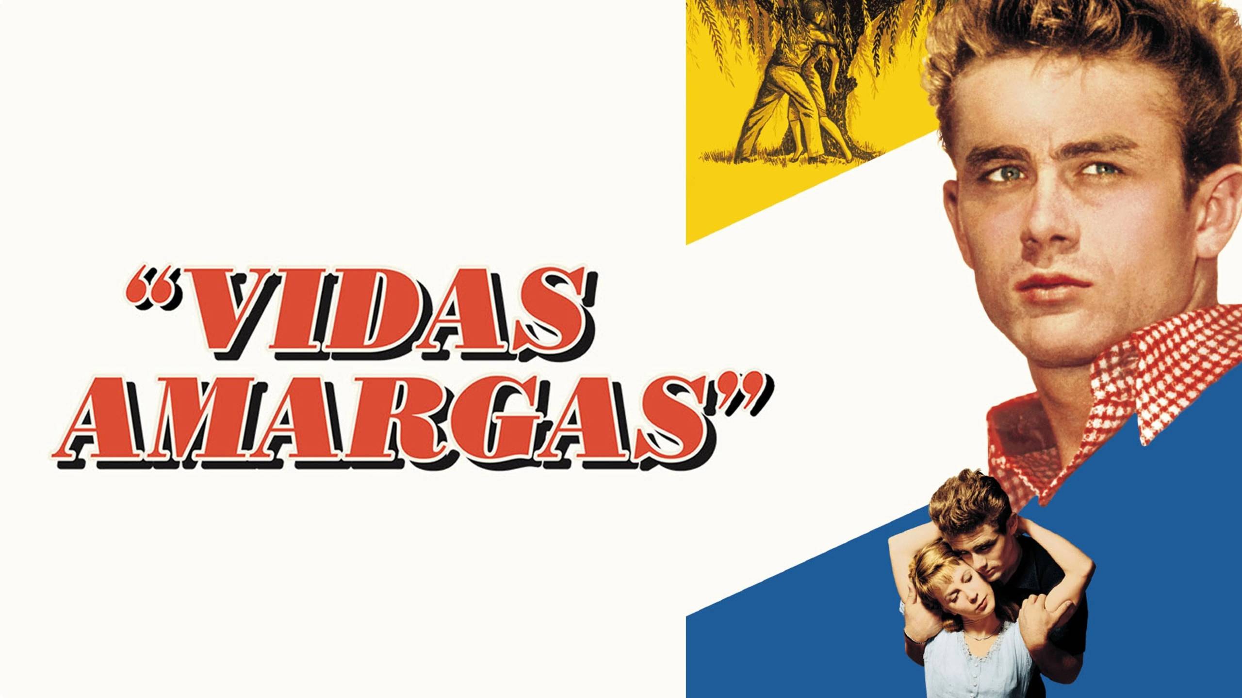 Cubierta de Valle Paraíso