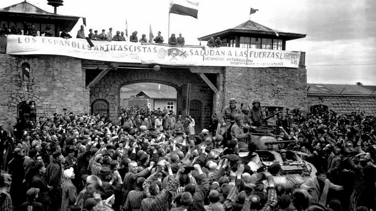 Cubierta de Los últimos españoles de Mauthausen y del resto de campos nazis