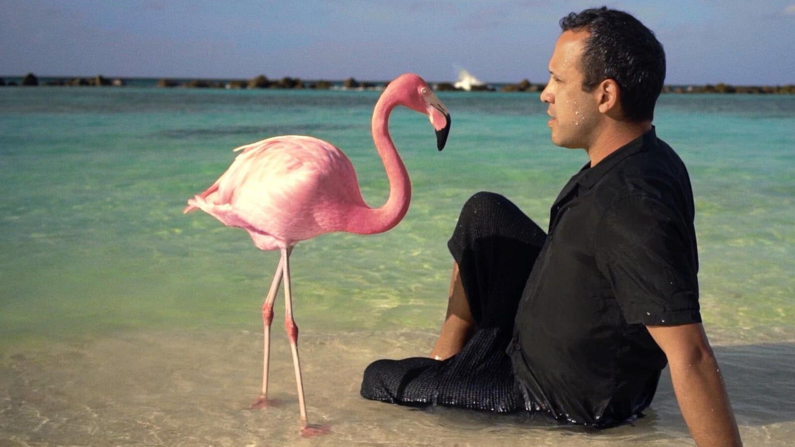 Cubierta de El misterio del Pink Flamingo