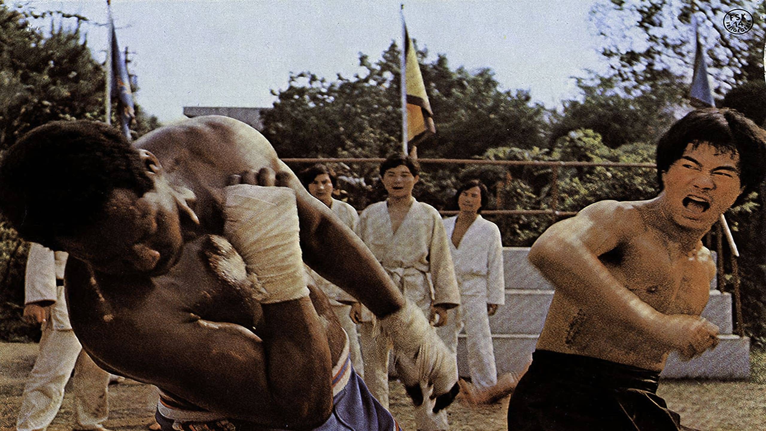 Cubierta de Bruce Lee, el superhéroe