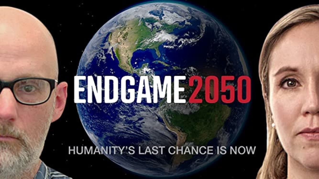 Cubierta de Endgame 2050