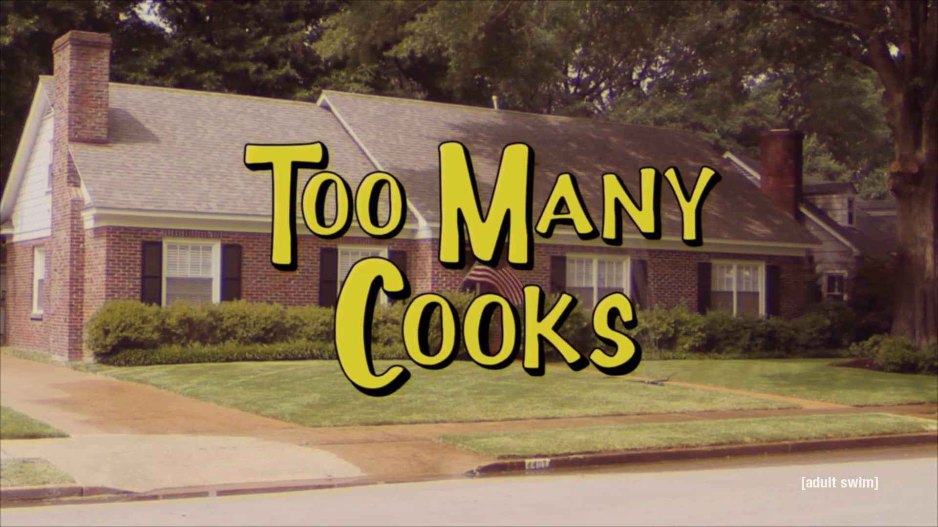 Cubierta de Too Many Cooks