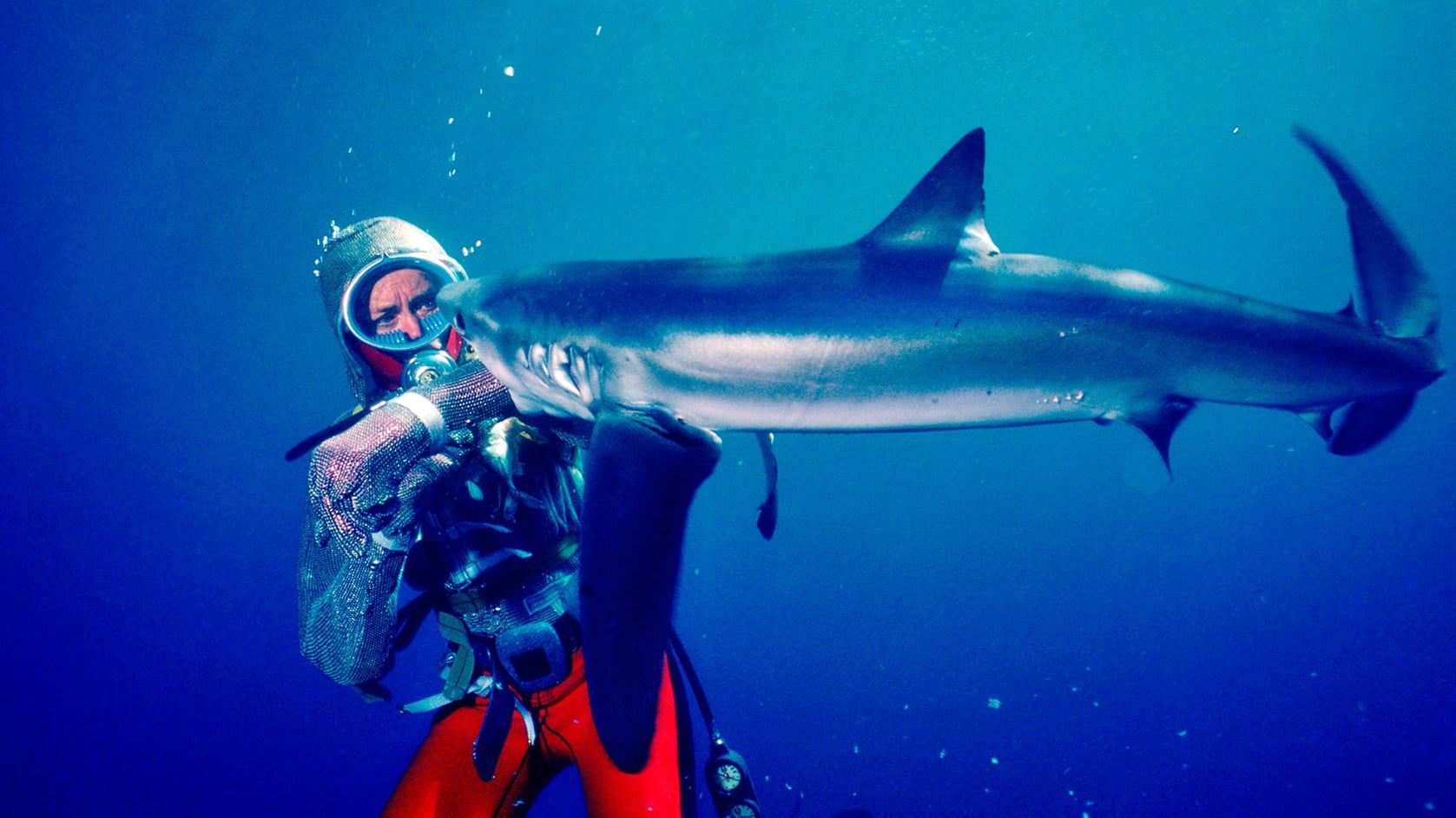 Cubierta de Jugando con tiburones