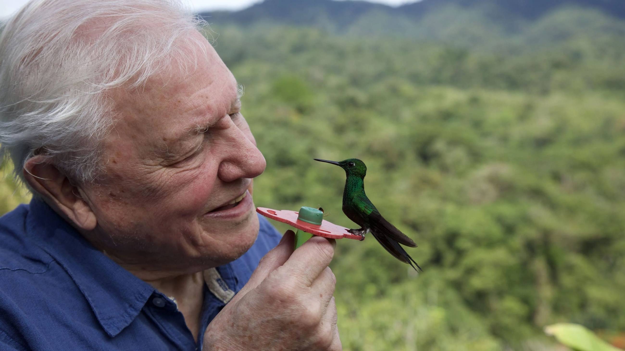 Cubierta de La vida a todo color, con David Attenborough