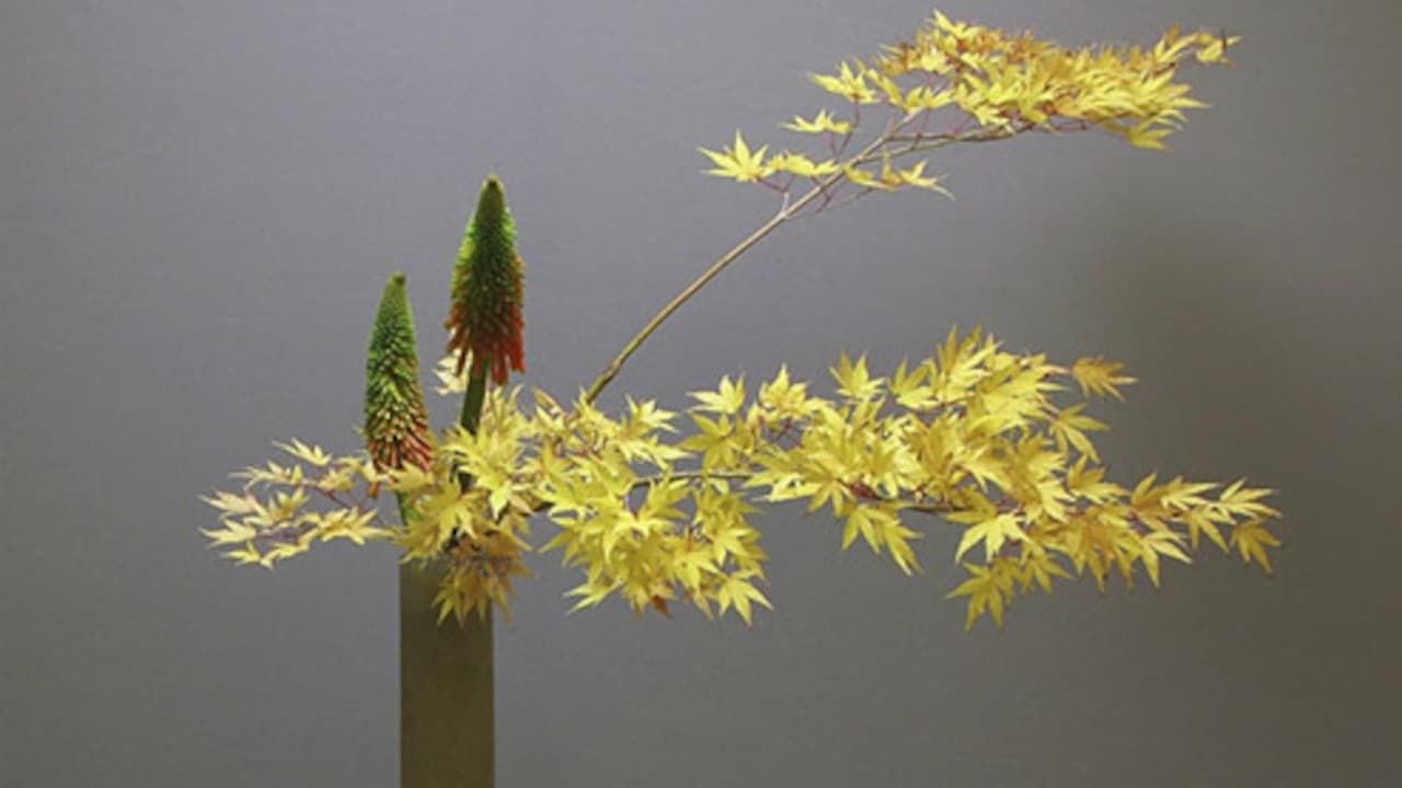 Cubierta de Ikebana