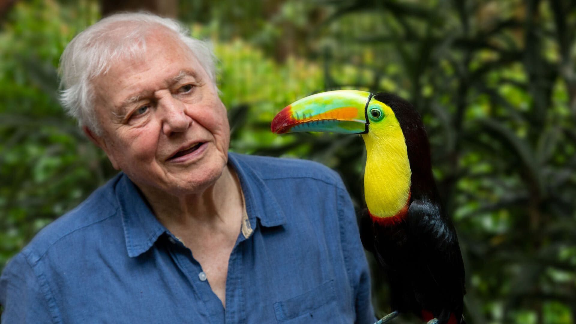 Cubierta de La vida a todo color, con David Attenborough