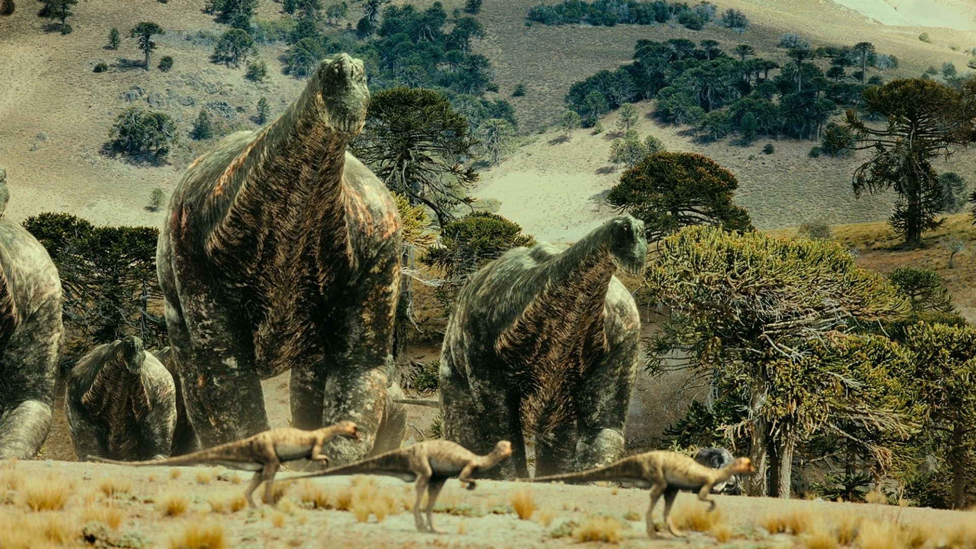 Cubierta de Dinosaurios: Gigantes de la Patagonia