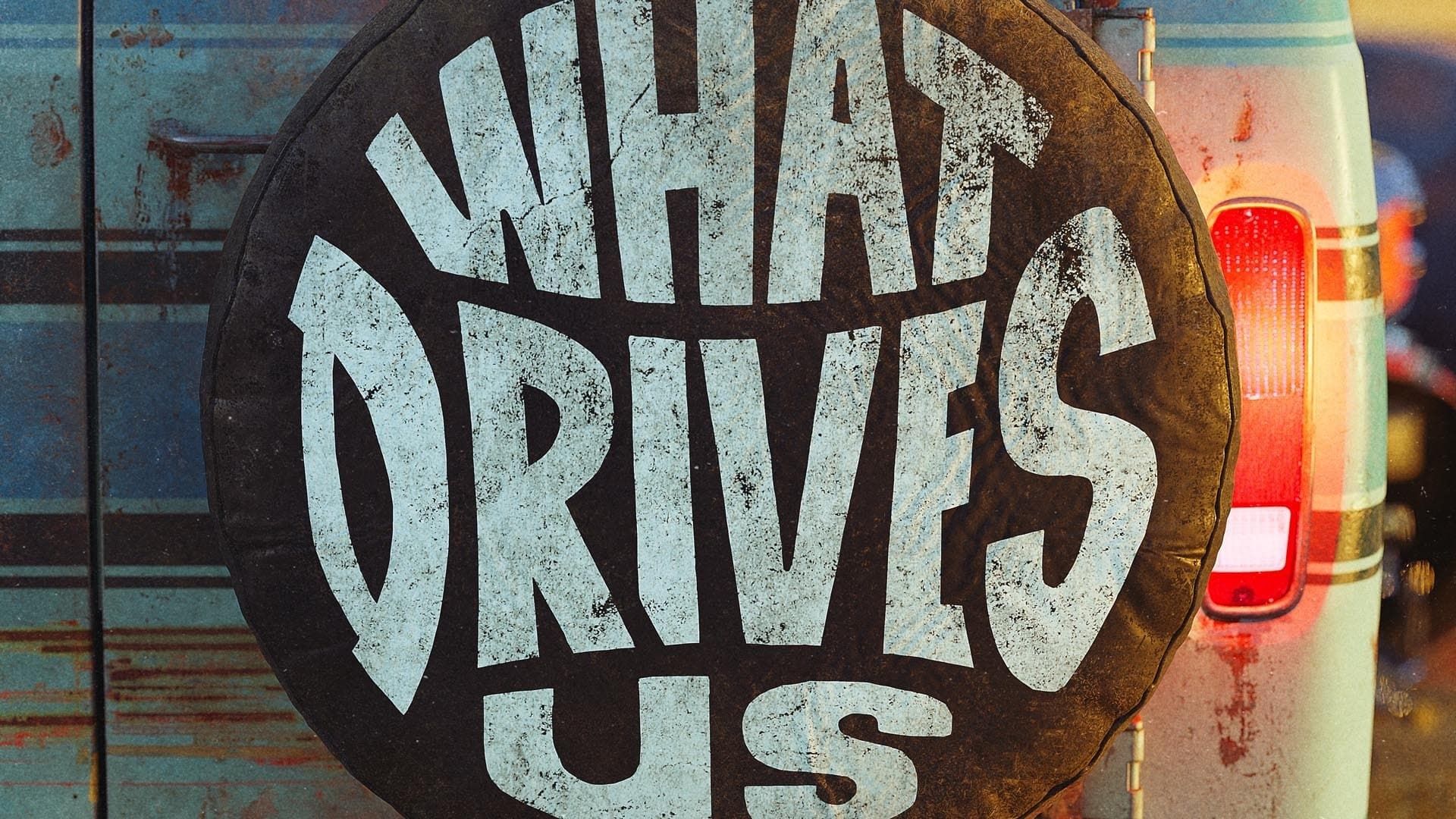 Cubierta de What Drives Us