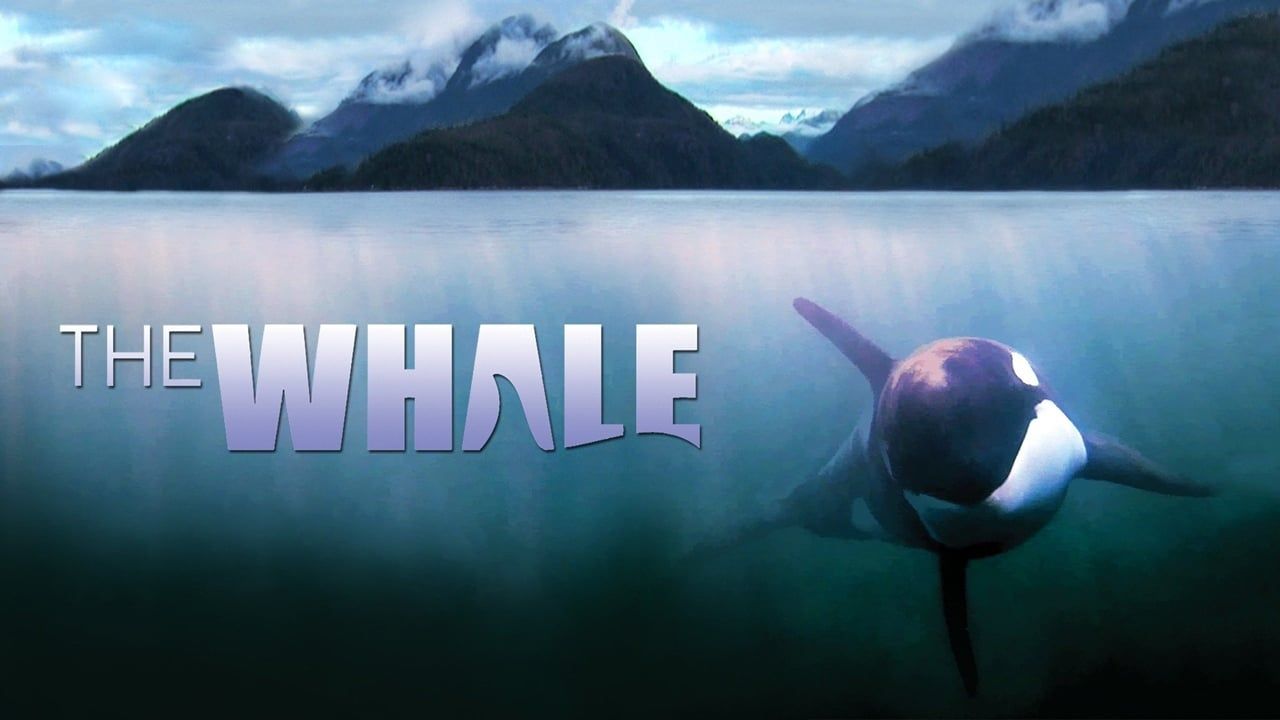 Cubierta de The Whale