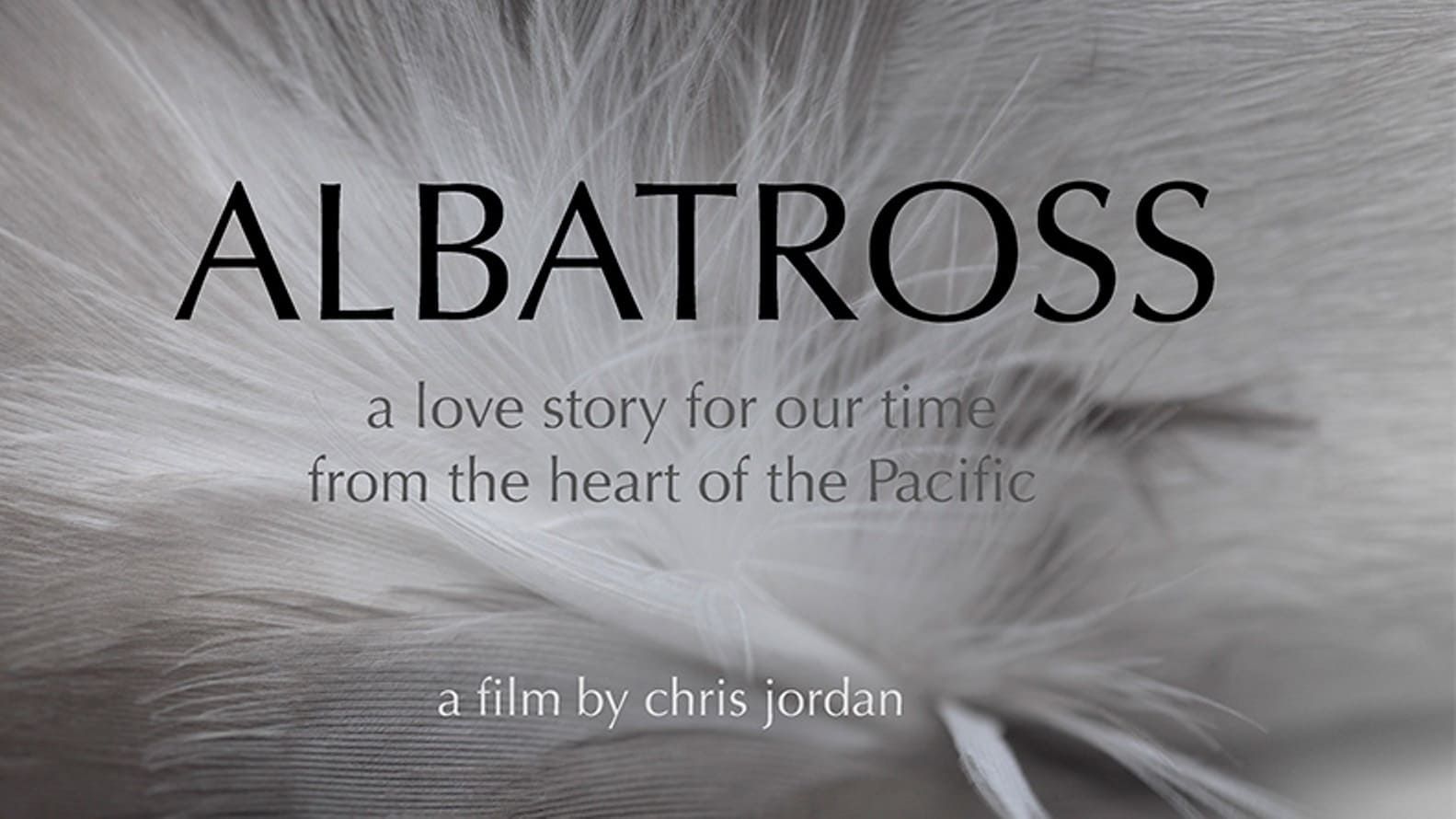 Cubierta de Albatross