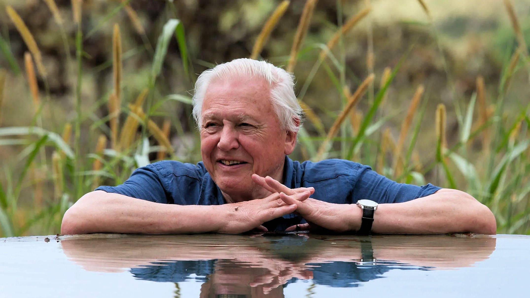 Cubierta de La gran aventura de David Attenborough