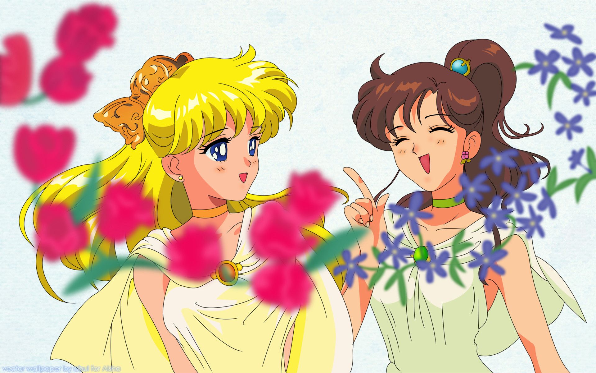 Cubierta de Sailor Moon S: El amor de la princesa Kaguya