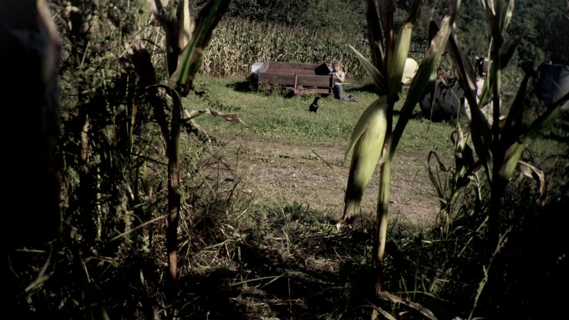 Cubierta de The Fields