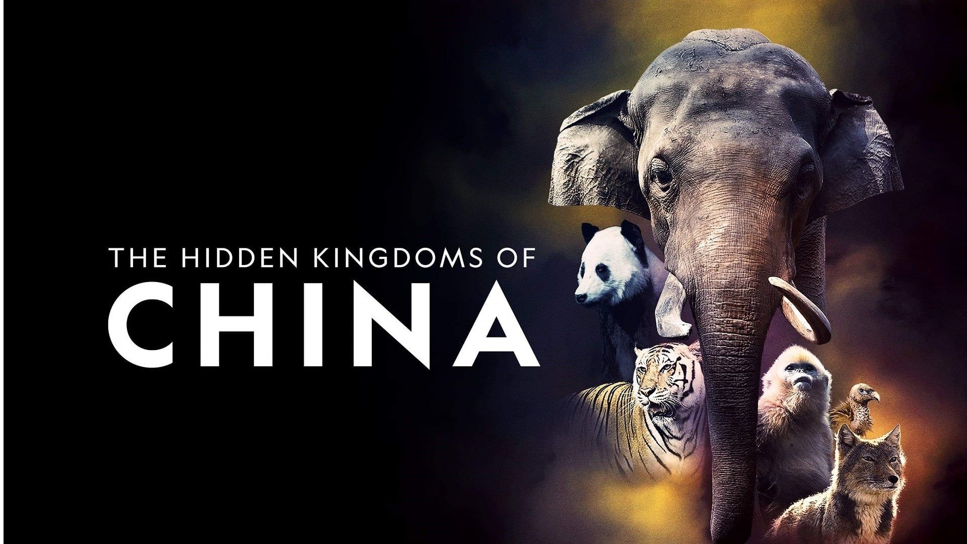Cubierta de The Hidden Kingdoms of China