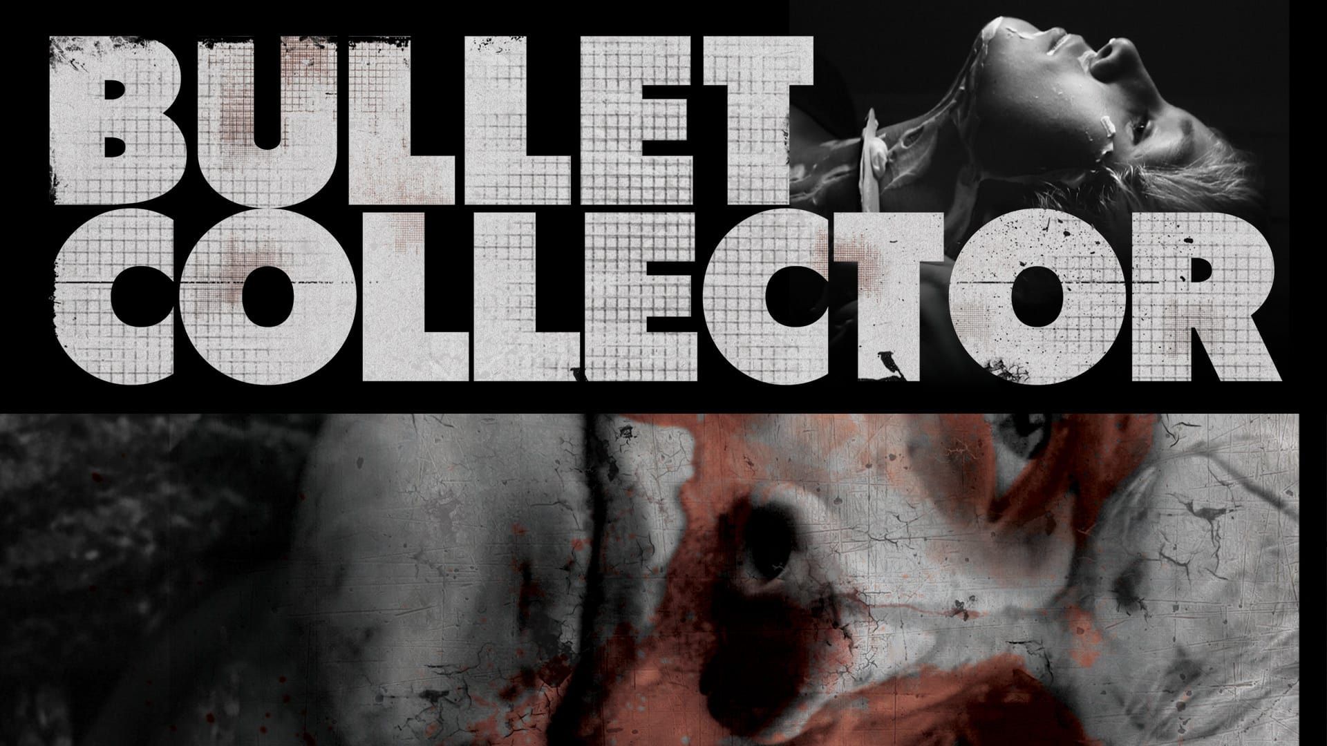 Cubierta de Bullet Collector