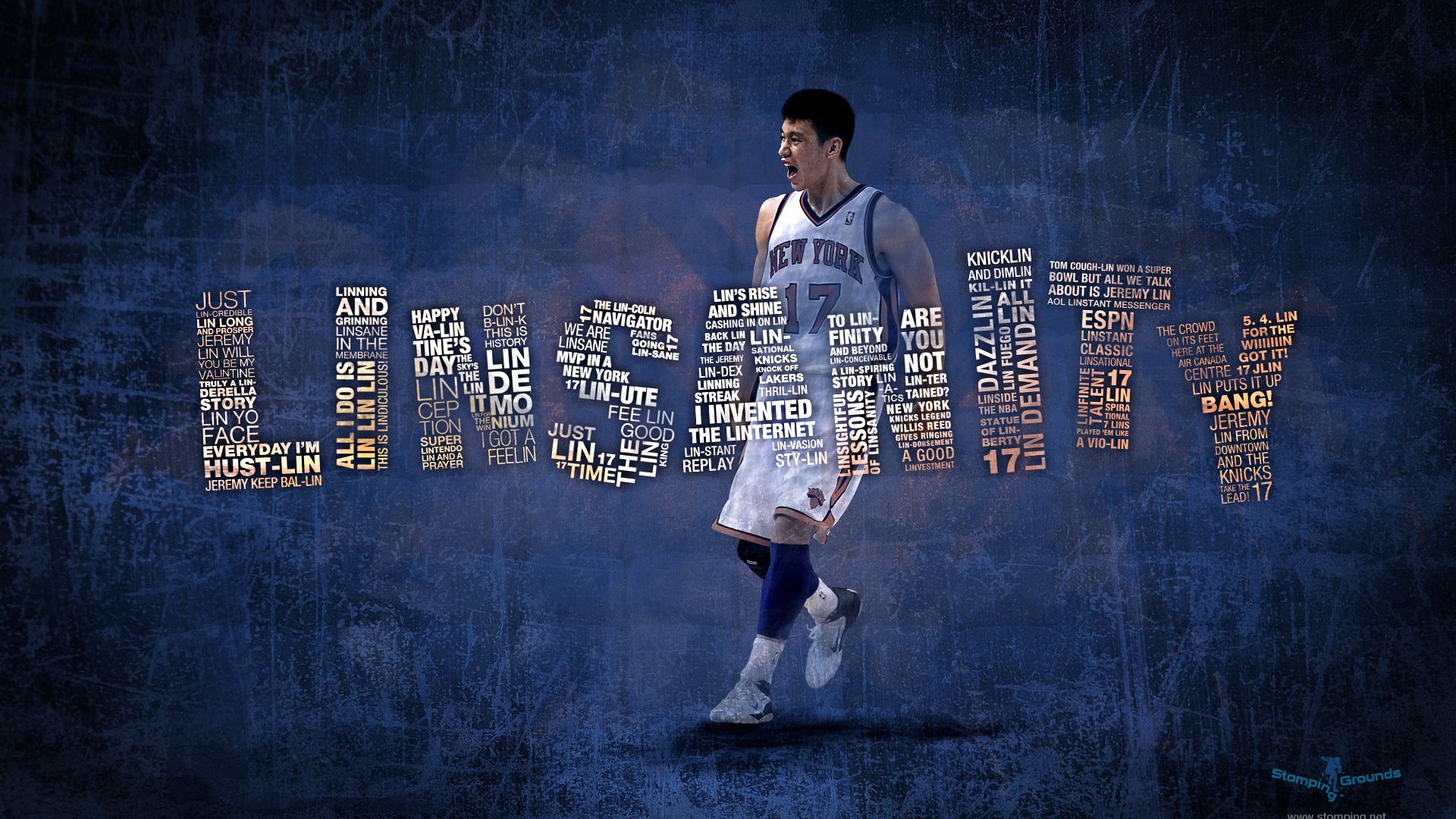 Cubierta de Linsanity