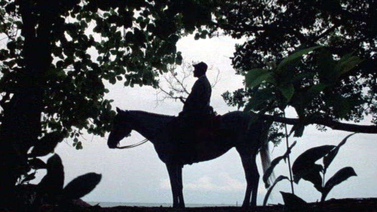 Cubierta de Adiós al rey