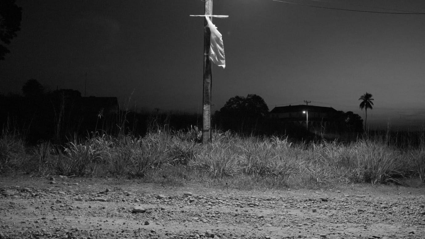 Cubierta de Fordlandia Malaise