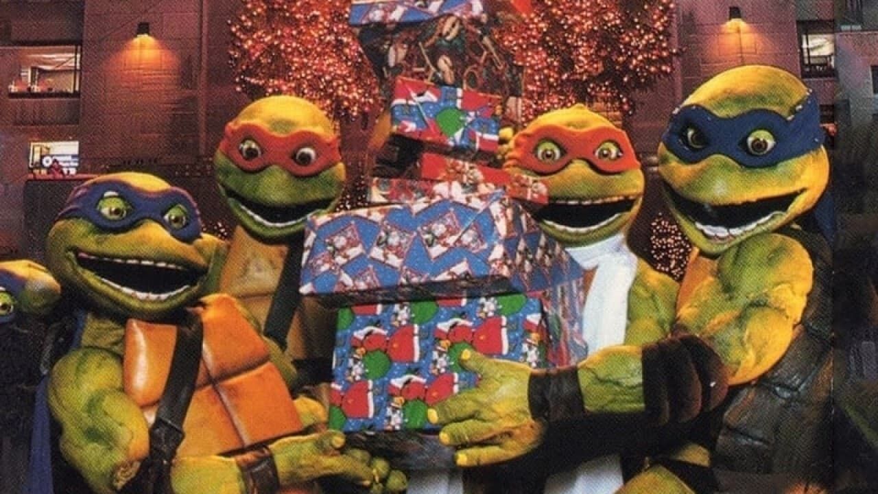 Cubierta de We Wish You a Turtle Christmas