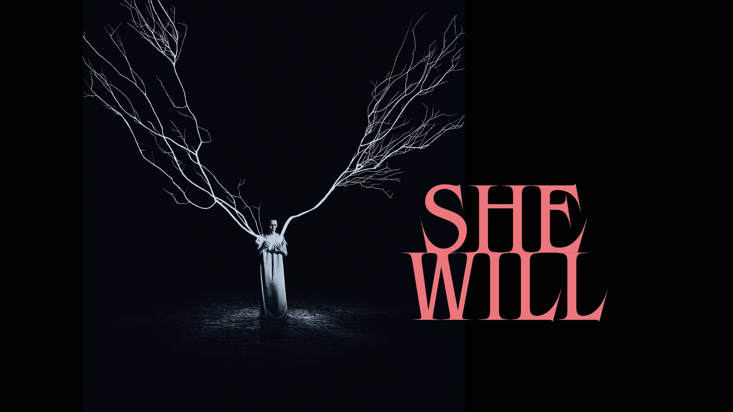 Cubierta de She Will