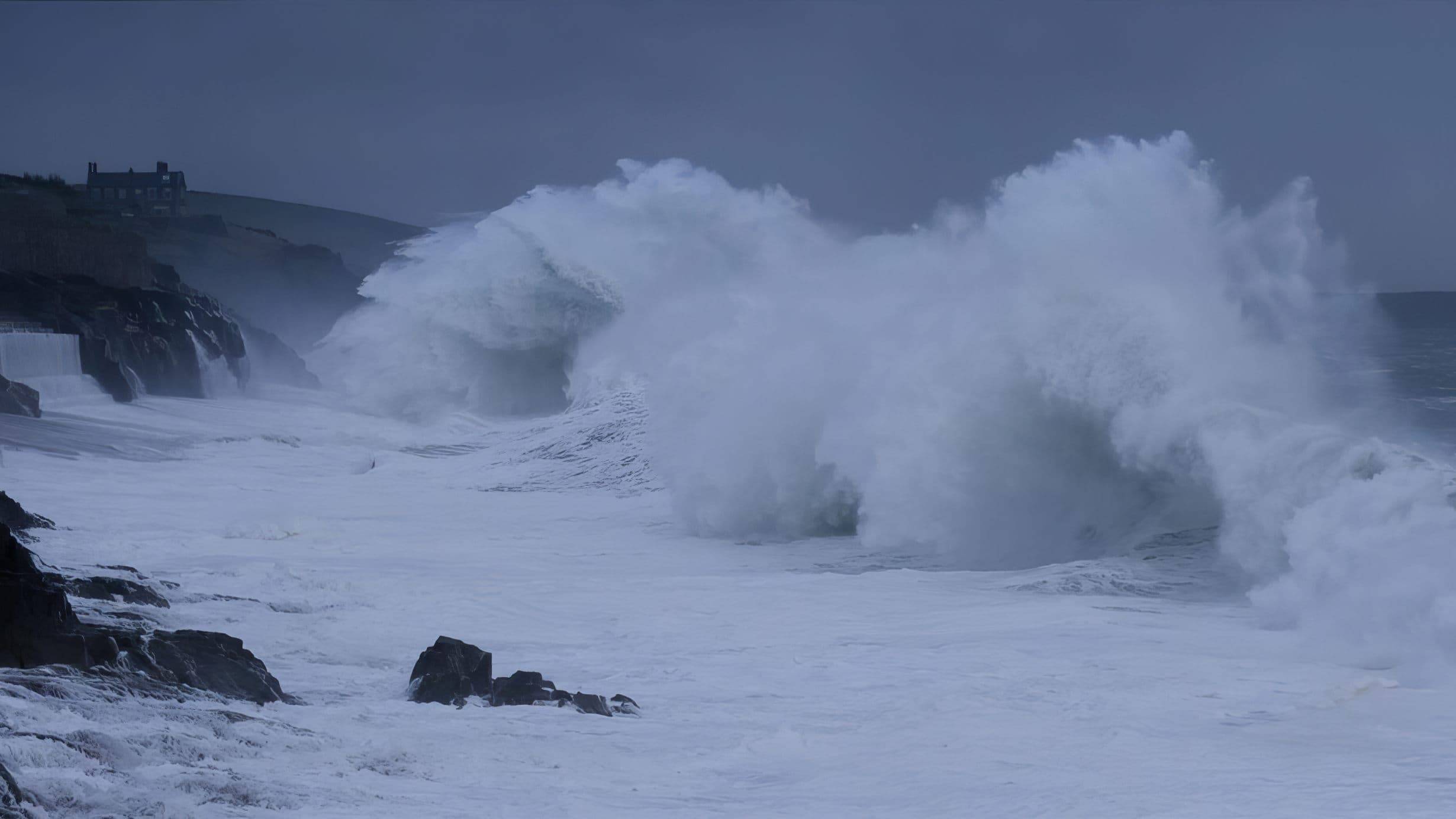 Cubierta de From the Wild Sea