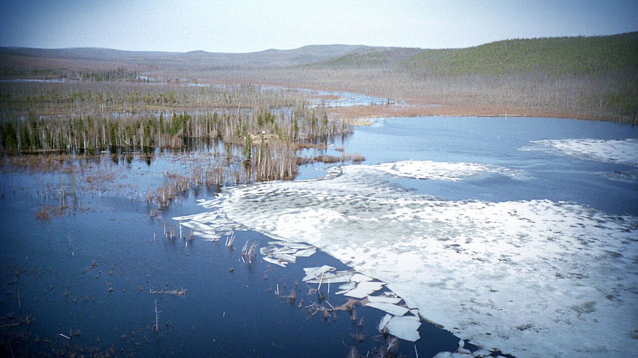 Cubierta de El big bang de Tunguska