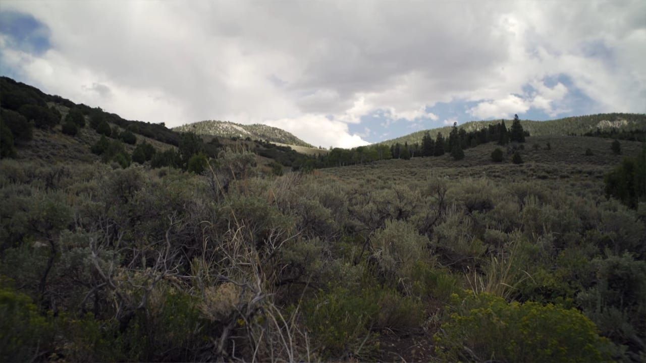 Cubierta de Horror in the High Desert