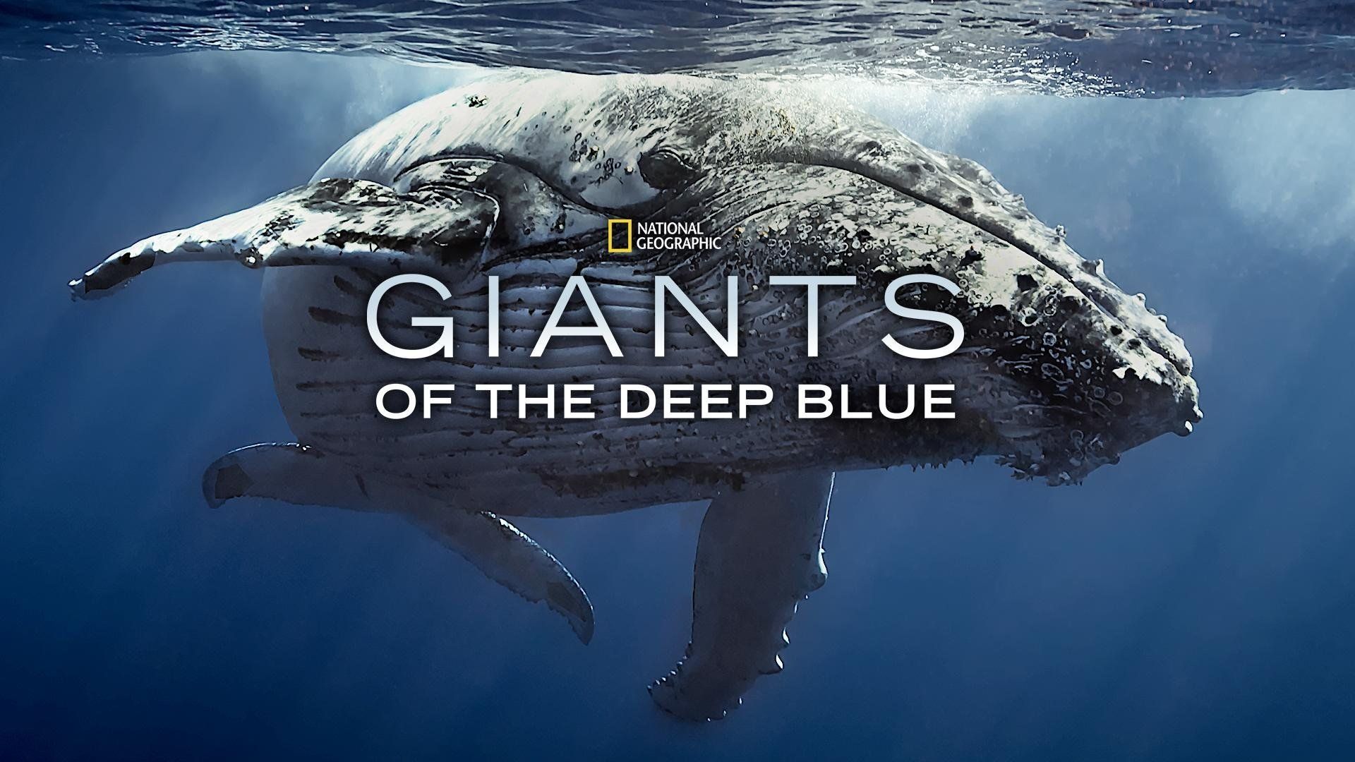 Cubierta de Giants of the Deep Blue