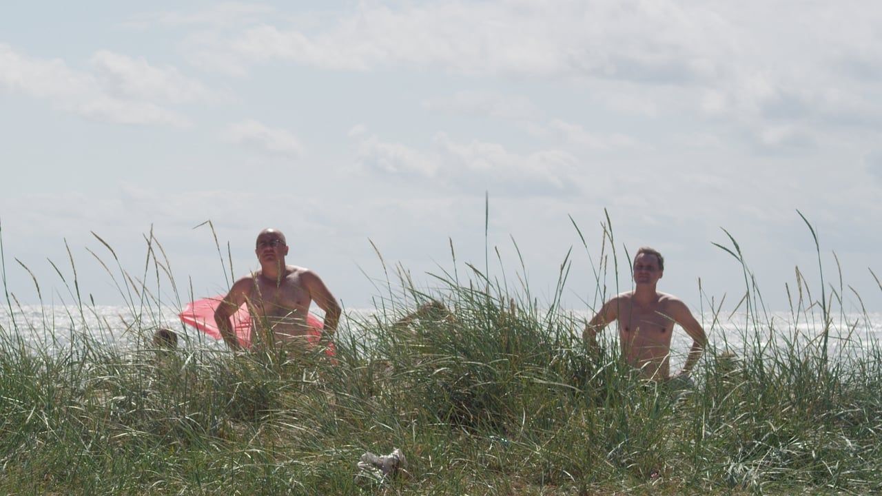 Cubierta de Pelea en una playa sueca