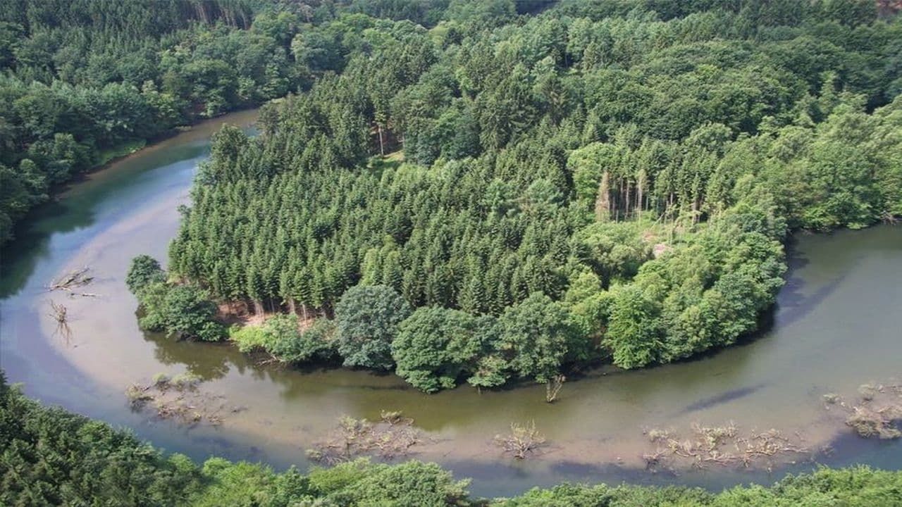 Cubierta de El Amazonas salvaje de Alemania