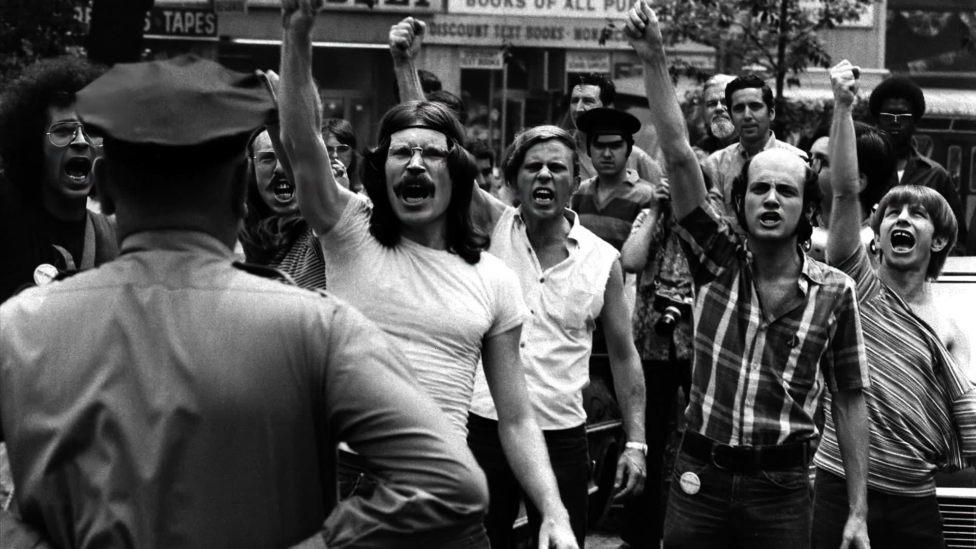 Cubierta de Stonewall: Aux origines de la Gay Pride